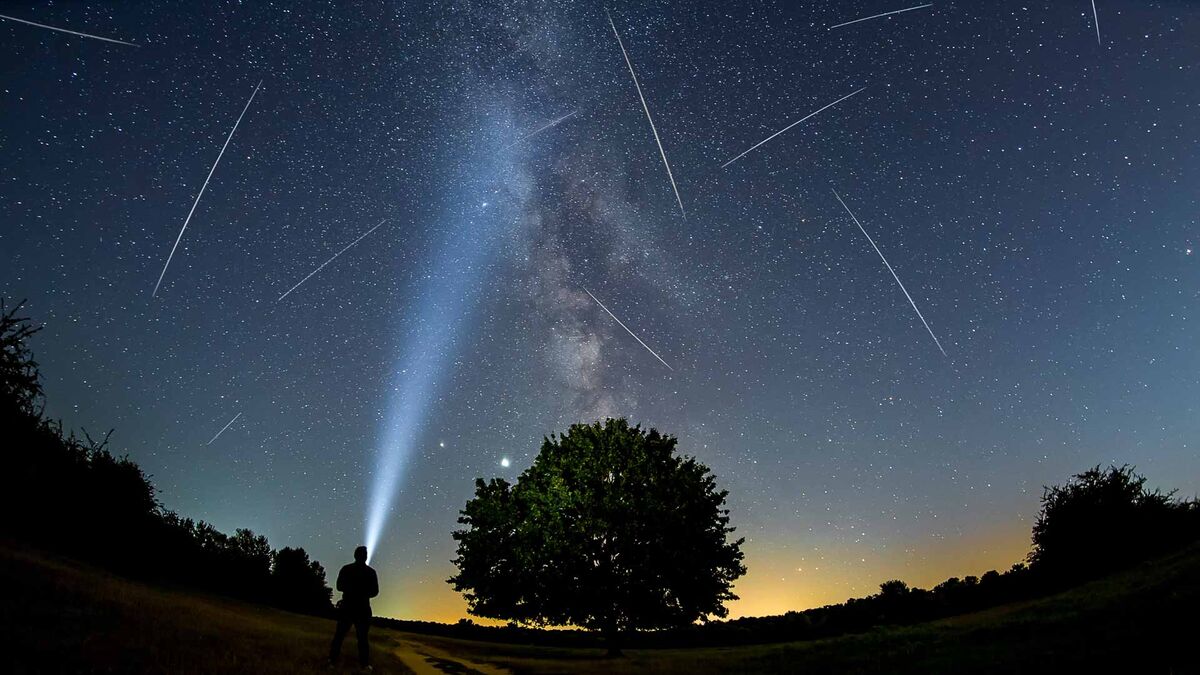 Sylwetka osoby oświetla niebo wiązką latarki podczas obserwacji deszczu Perseidów. Nad drzewem i horyzontem widoczna jest Droga Mleczna oraz liczne meteory przecinające nocne niebo. Zdjęcie wykonano na otwartej przestrzeni z dala od miejskiej zabudowy.